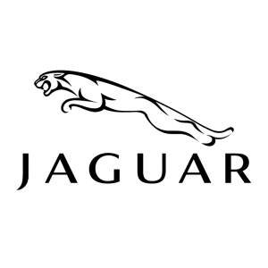 Jaguar “Maurice and Kensha”
